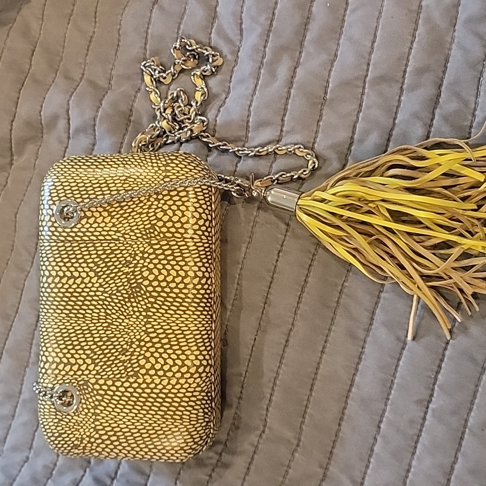 BCBG clutch or crossbody chain small bag